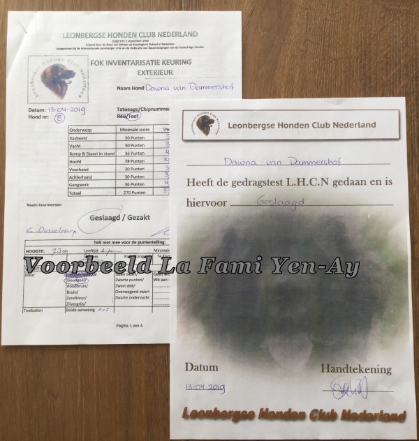 Afbeelding invoegen
